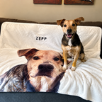 Custom Pet Blanket — gallery 04 — Dear Paw Studio