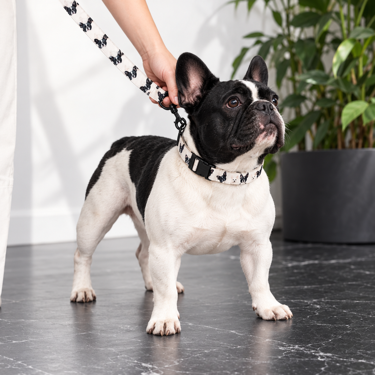 Custom Pet Portrait Collar — gallery 10 — Dear Paw Studio