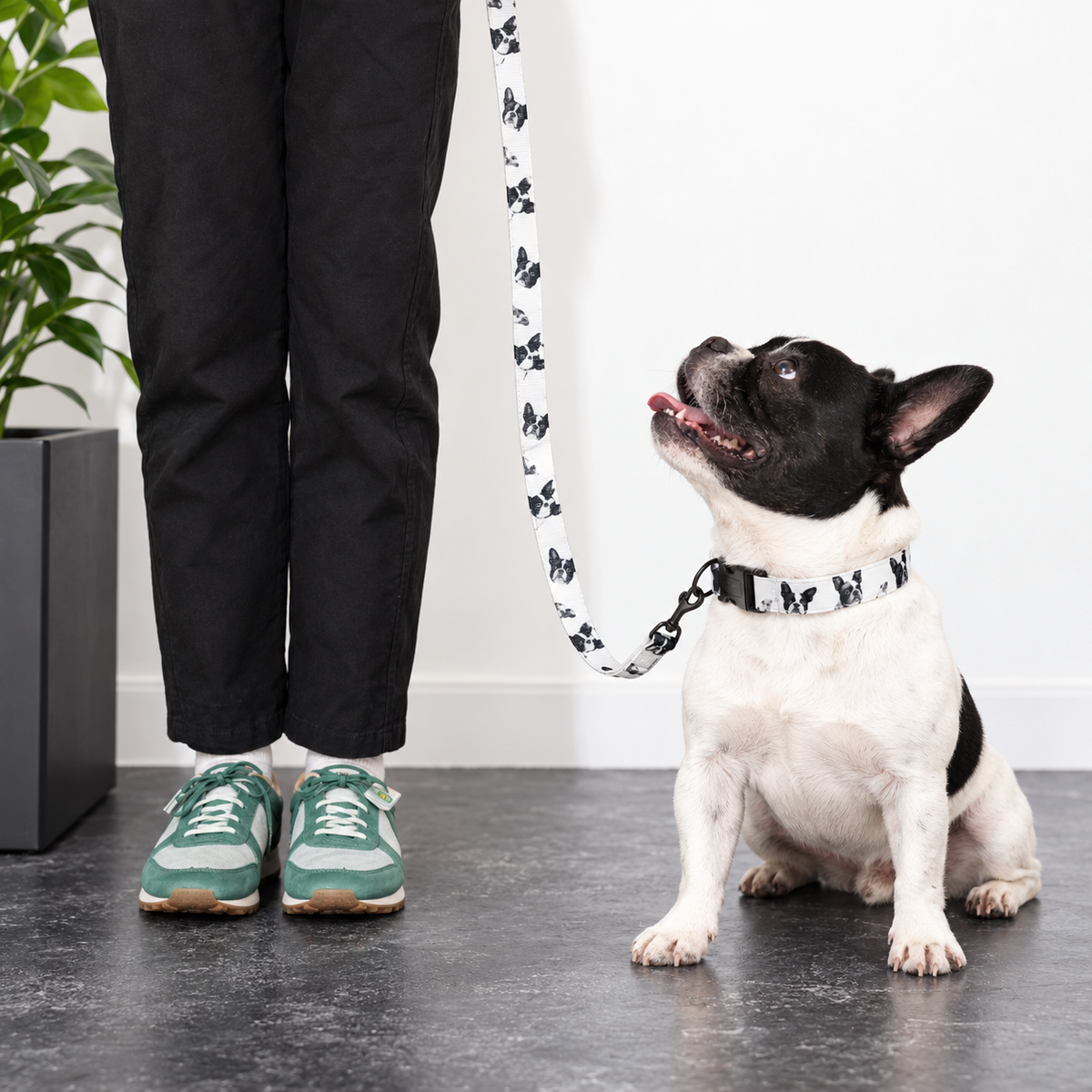 Custom Pet Portrait Collar & Leash — gallery 10 — Dear Paw Studio