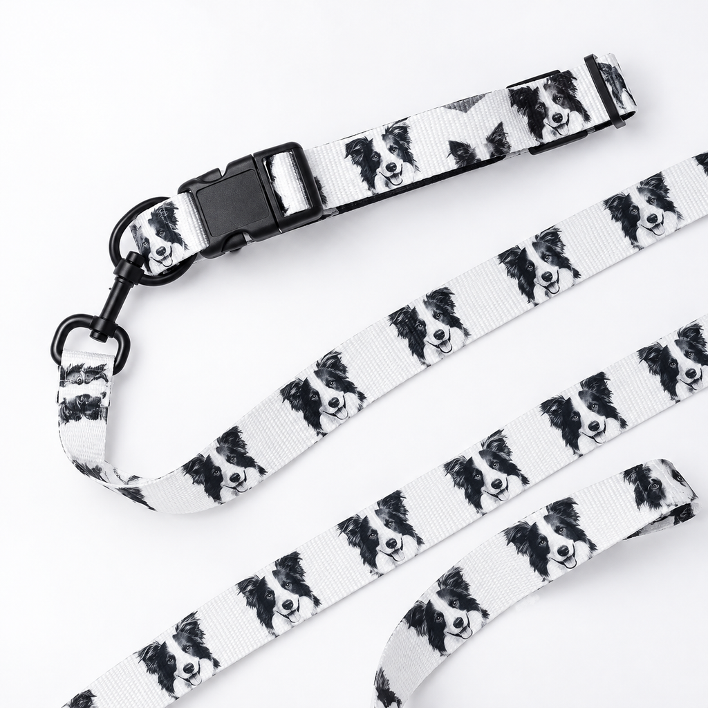 Custom Pet Portrait Collar & Leash — gallery 11 — Dear Paw Studio