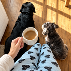 Custom Pet Face Pajama Pants — gallery 11 — Dear Paw Studio