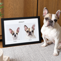 Custom Then & Now Pet Portrait — gallery custom-then-now-pet-portrait — Dear Paw Studio