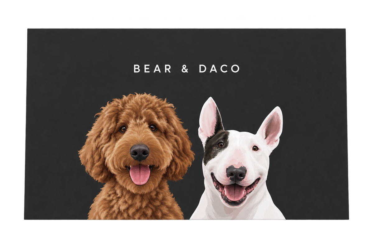 Custom Two Pet Portrait — gallery 11 — Dear Paw Studio