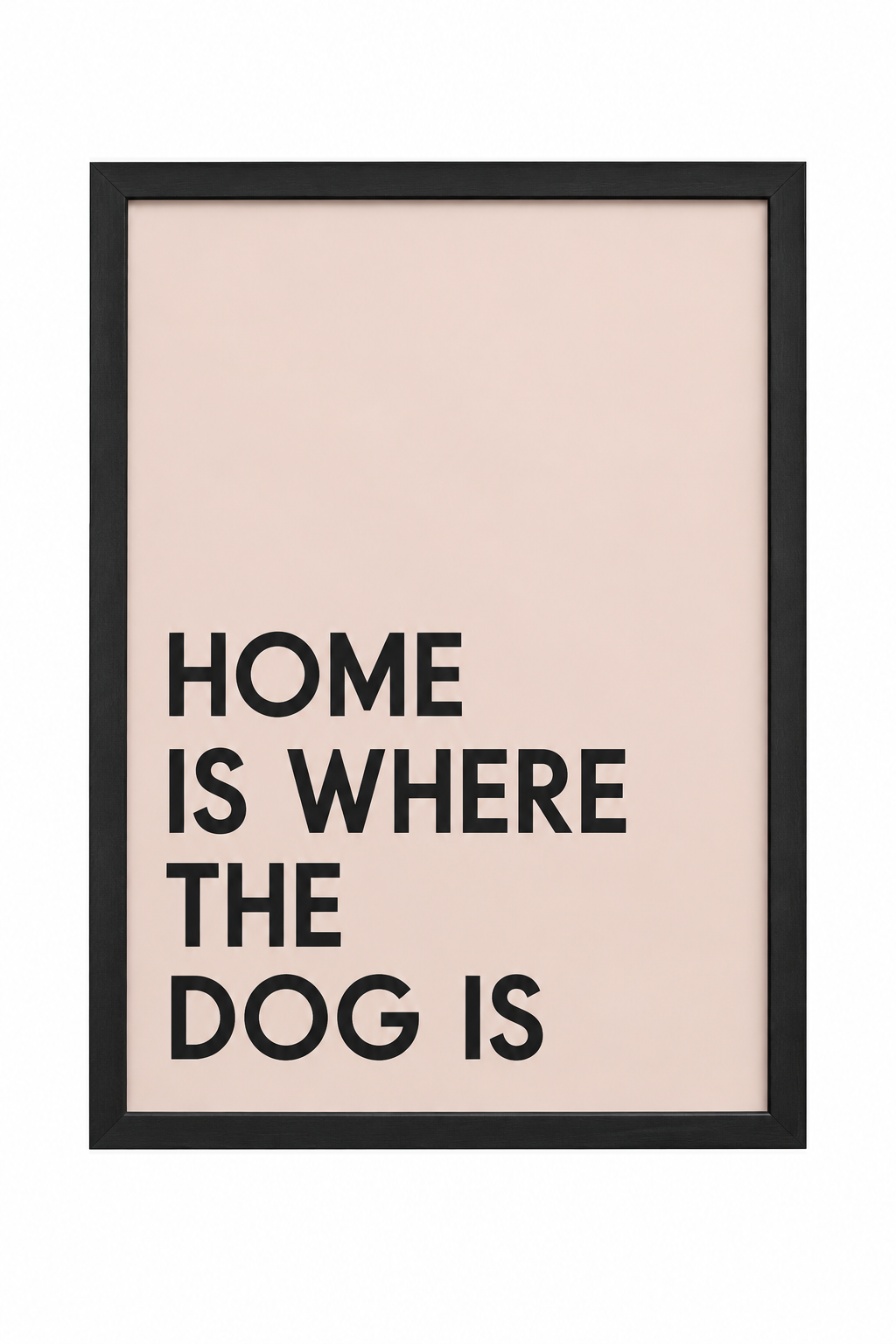 Home Is Where The Dog Is — gallery 07 — Dear Paw Studio