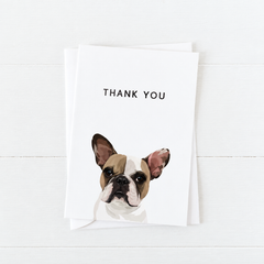 Pet Portrait Greeting Cards — gallery 03 — Dear Paw Studio