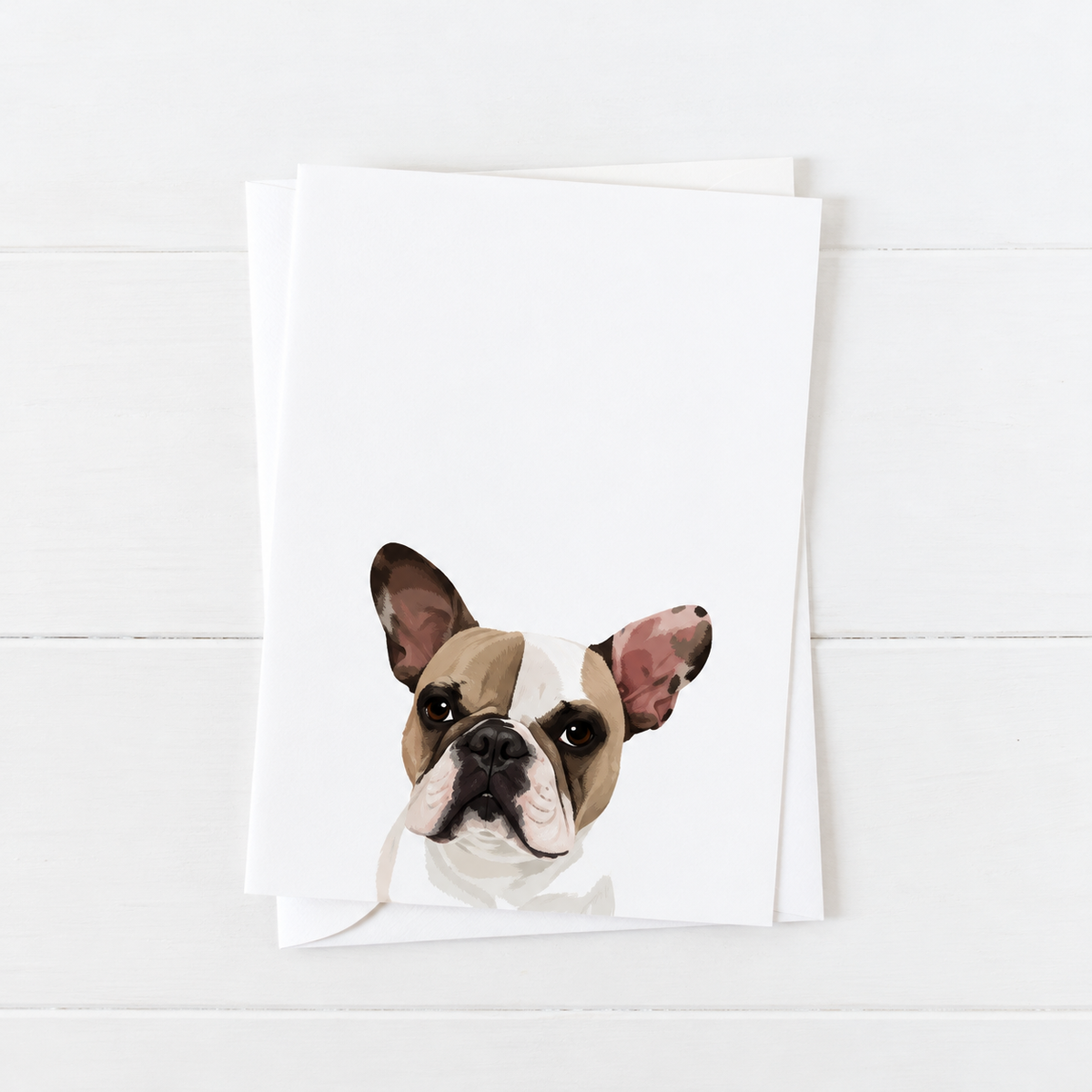 Pet Portrait Greeting Cards — gallery 05 — Dear Paw Studio