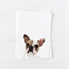 Pet Portrait Greeting Cards — gallery 05 — Dear Paw Studio