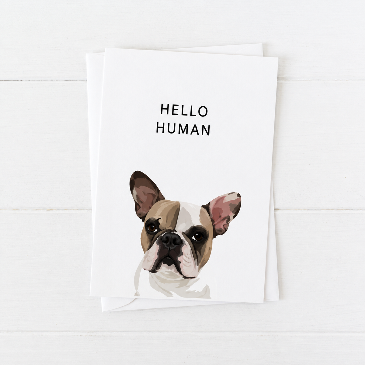 Pet Portrait Greeting Cards — gallery 06 — Dear Paw Studio
