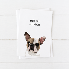 Pet Portrait Greeting Cards — gallery 06 — Dear Paw Studio