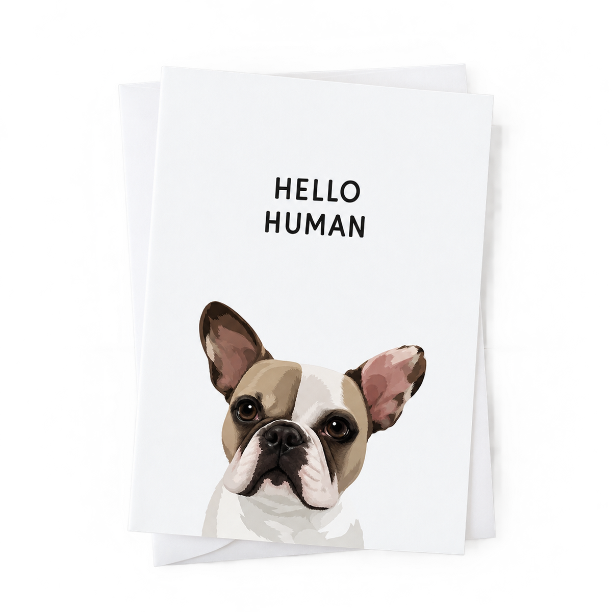 Pet Portrait Greeting Cards — gallery pet-greeting-cards — Dear Paw Studio