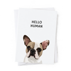 Pet Portrait Greeting Cards — gallery pet-greeting-cards — Dear Paw Studio