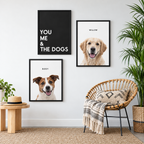 You Me & The Dogs — gallery 02 — Dear Paw Studio